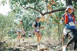 BIB: 
                            <button type="button" onclick="openModal(26098457)" class="btn btn-primary btn-sm float-right btn-popup" data-toggle="modal" data-target=".modal-high-quality">
                        <i class="fas fa-shopping-cart"></i> Add to Cart
                    </button>
                                            <button type="button" onclick="isThisMe(26098457, true)" class="btn btn-success btn-sm float-right btn-popup btn-isme hidden" data-toggle="tooltip" data-placement="bottom" title="นี่คือรูปของคุณใช่ไหม คลิกที่นี่เพื่อเอาเข้าอัลบั้ม">
                        <i class="fas fa-plus"></i> Add to album
                    </button>
                    <button type="button" onclick="isThisMe(26098457, false)" class="btn btn-warning btn-sm float-right btn-popup btn-isnotme hidden">
                        <i class="fas fa-ban"></i> Remove from album
                    </button>